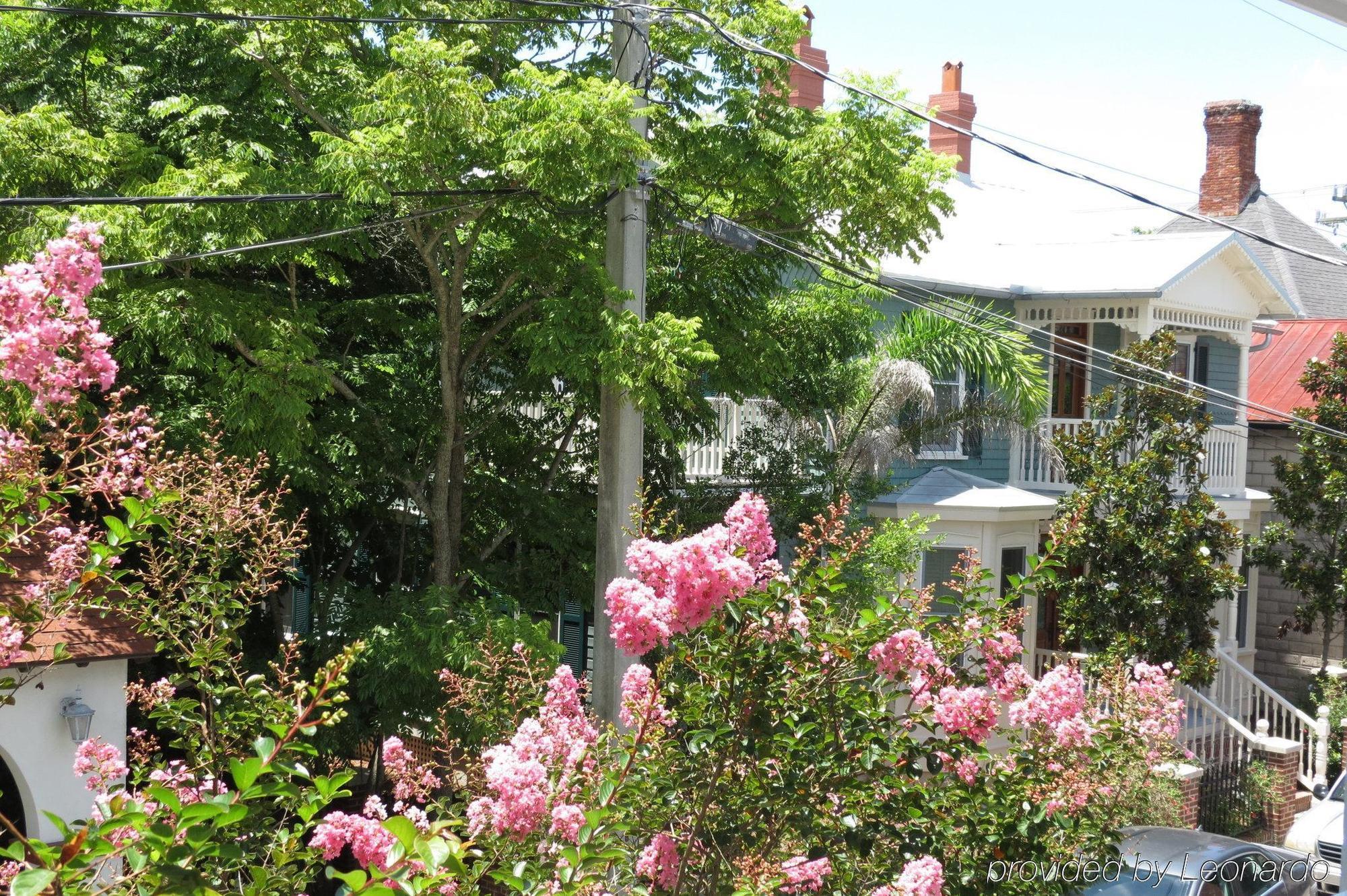 Bayfront Westcott House Bed & Breakfast Saint Augustine Exterior foto