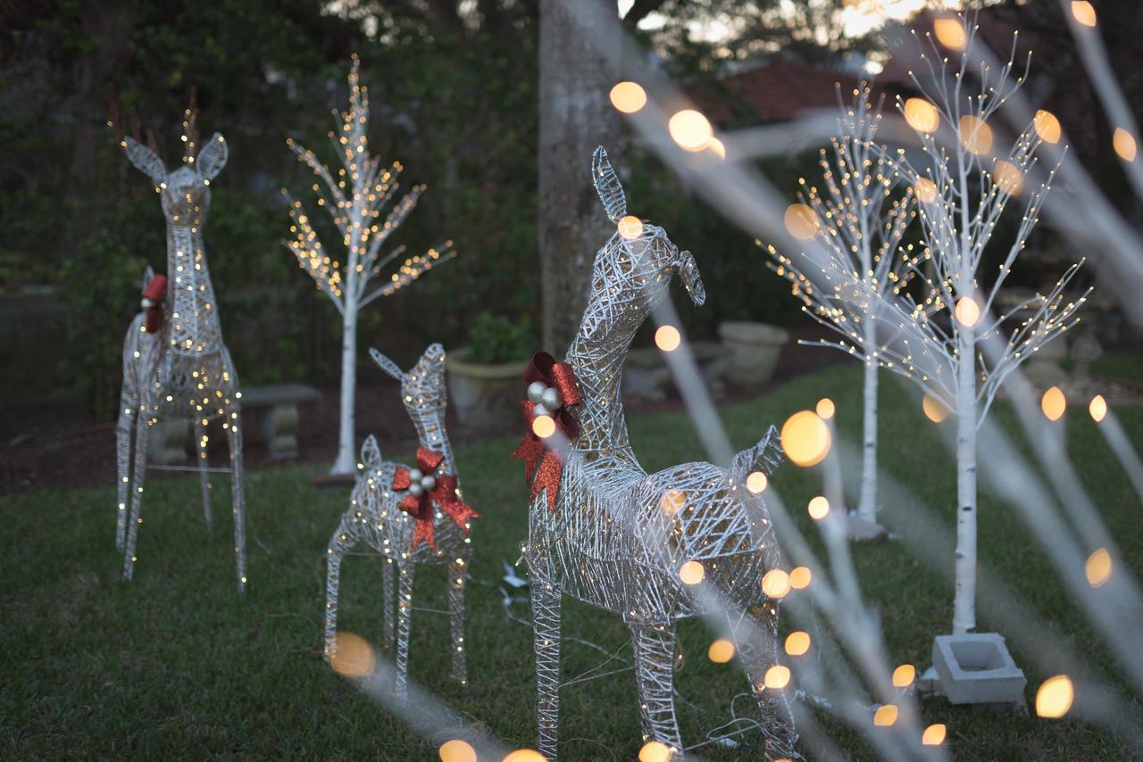 Bayfront Westcott House Bed & Breakfast Saint Augustine Exterior foto